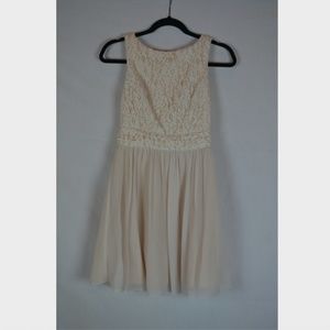 Blush Pink Shimmery Lace Dress